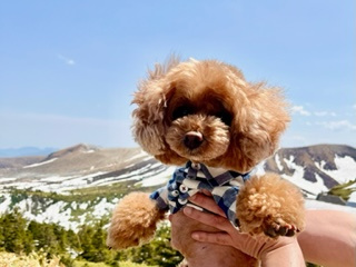 リフレッシュしてきましたの画像