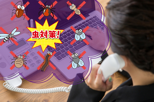 部屋に突然虫が！賃貸物件で害虫駆除を行う場合の費用負担や出にくい部屋選びの画像