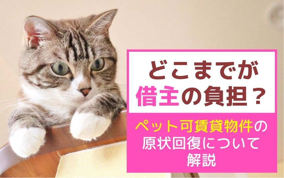 どこまでが借主の負担？ペット可賃貸物件の原状回復について解説
