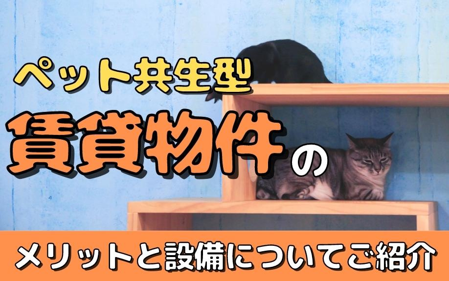 ペット共生型賃貸物件のメリットと設備についてご紹介の画像