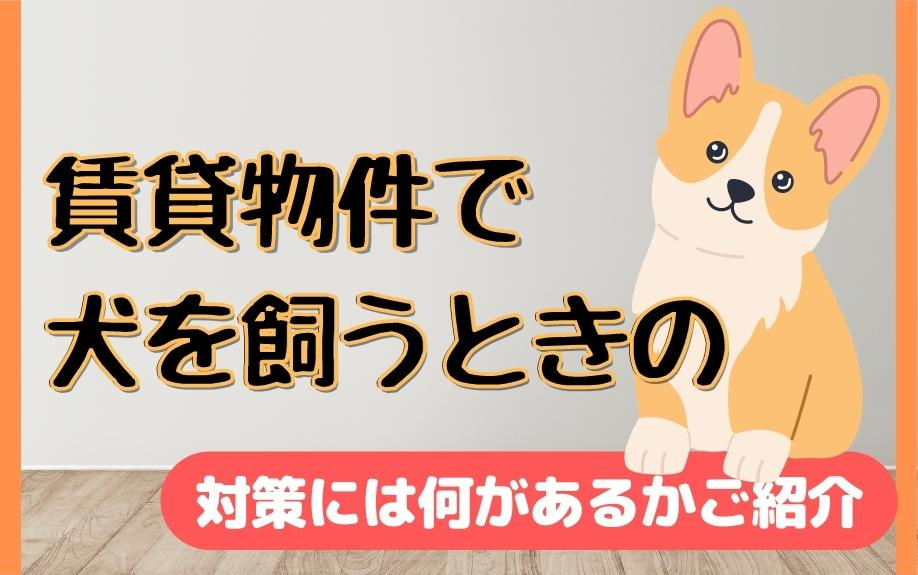 賃貸物件で犬を飼うときの対策には何があるかご紹介の画像