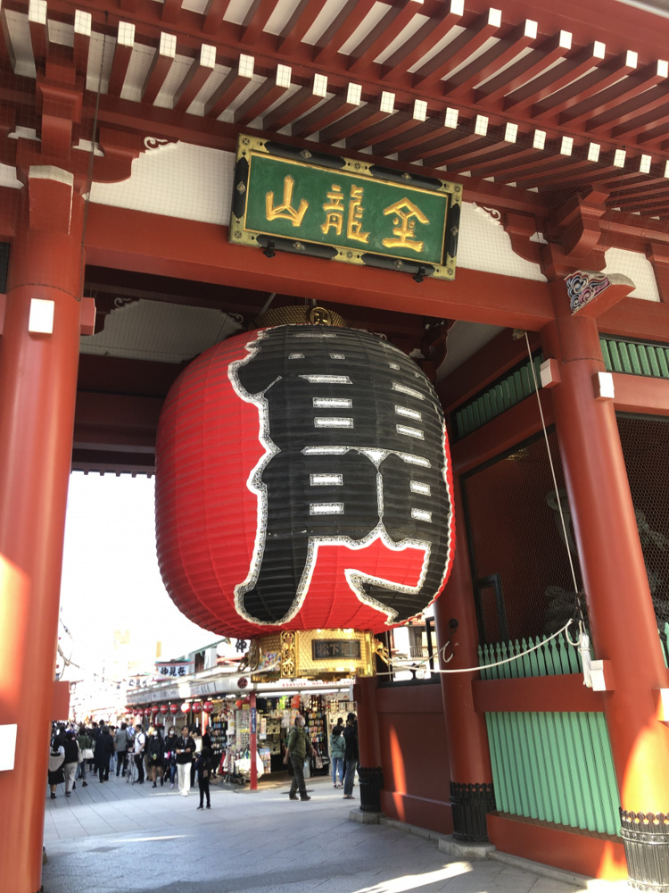 ちょい出☆彡の画像