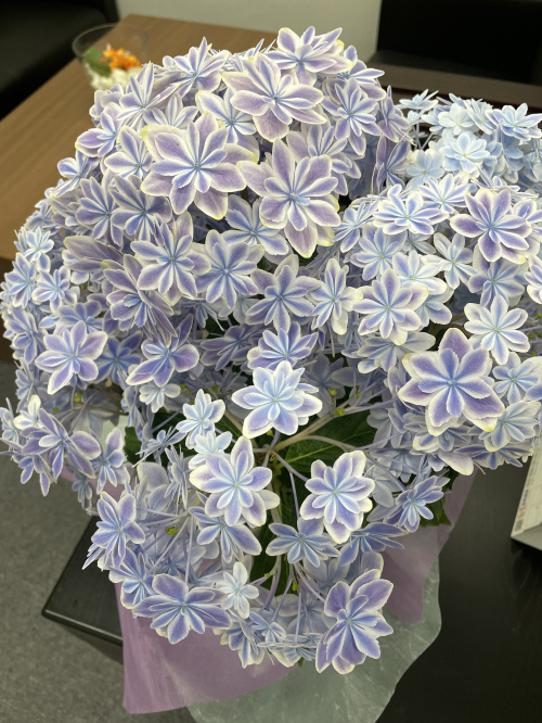 社内緑化計画2の画像