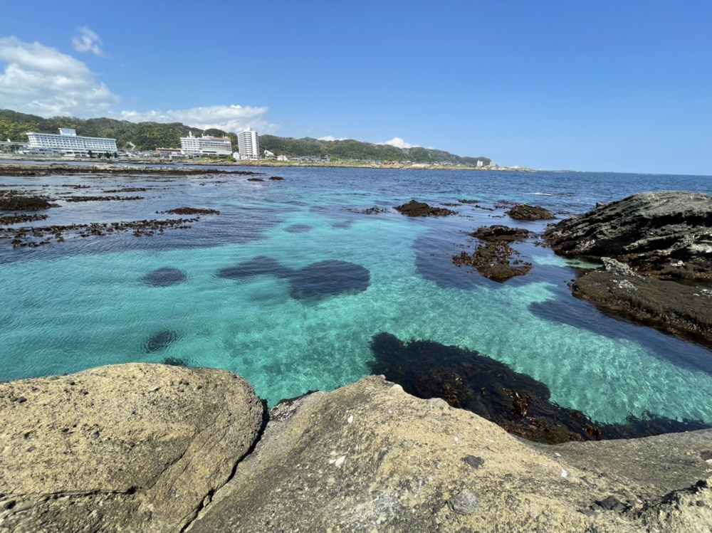 海釣りの画像