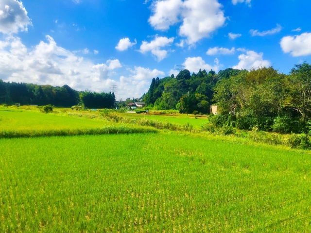 農地は売却しづらい？上手に売却する方法とは