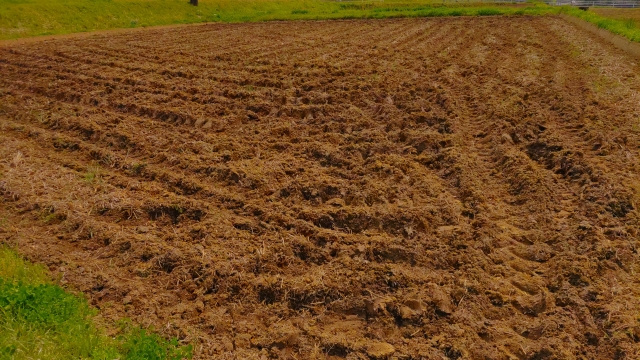 農地の売却をしたい方へ！売却しづらい理由や売却方法および費用を解説