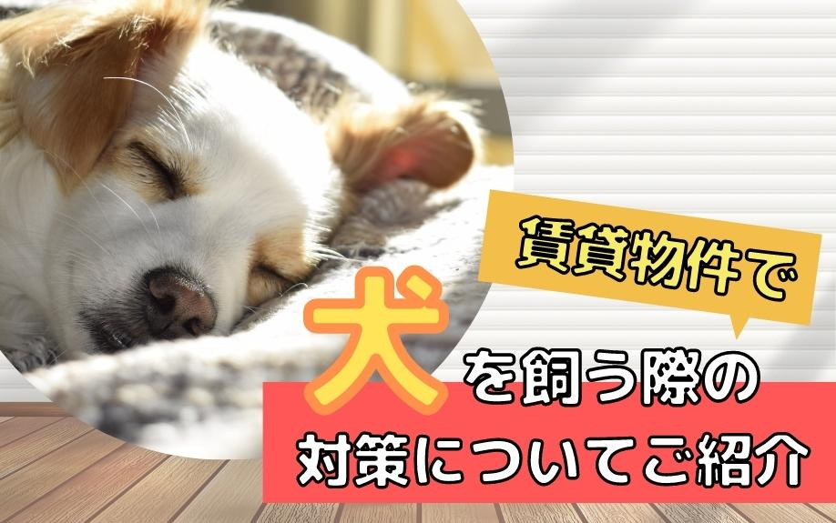 賃貸物件で犬を飼う際の対策についてご紹介