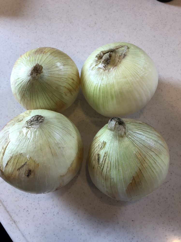  玉ねぎ丸ごとスープの画像