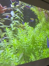 プロジェクターを事務所に導入しました！！の画像