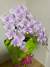 御祝い頂きました！！の画像