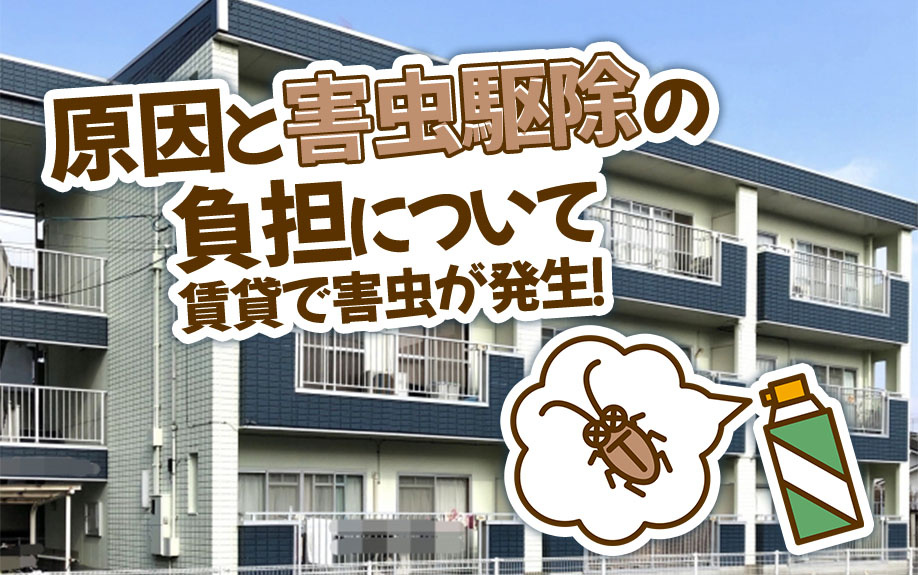 賃貸で害虫が発生！原因と害虫駆除の負担について