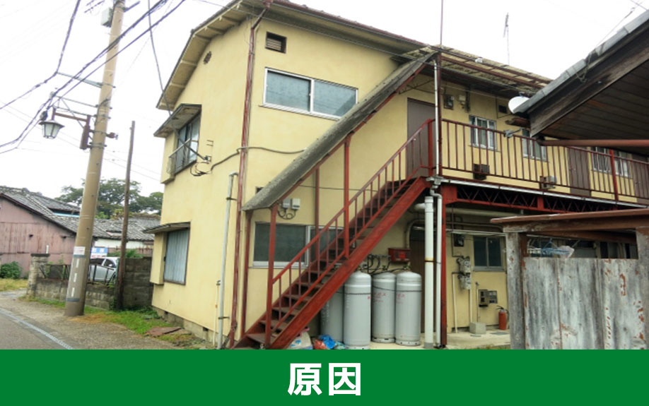 賃貸物件で害虫駆除！害虫が発生する原因について知ろう