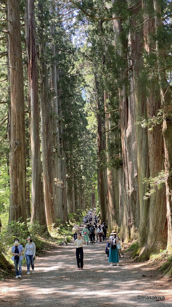 戸隠神社の奥社の画像