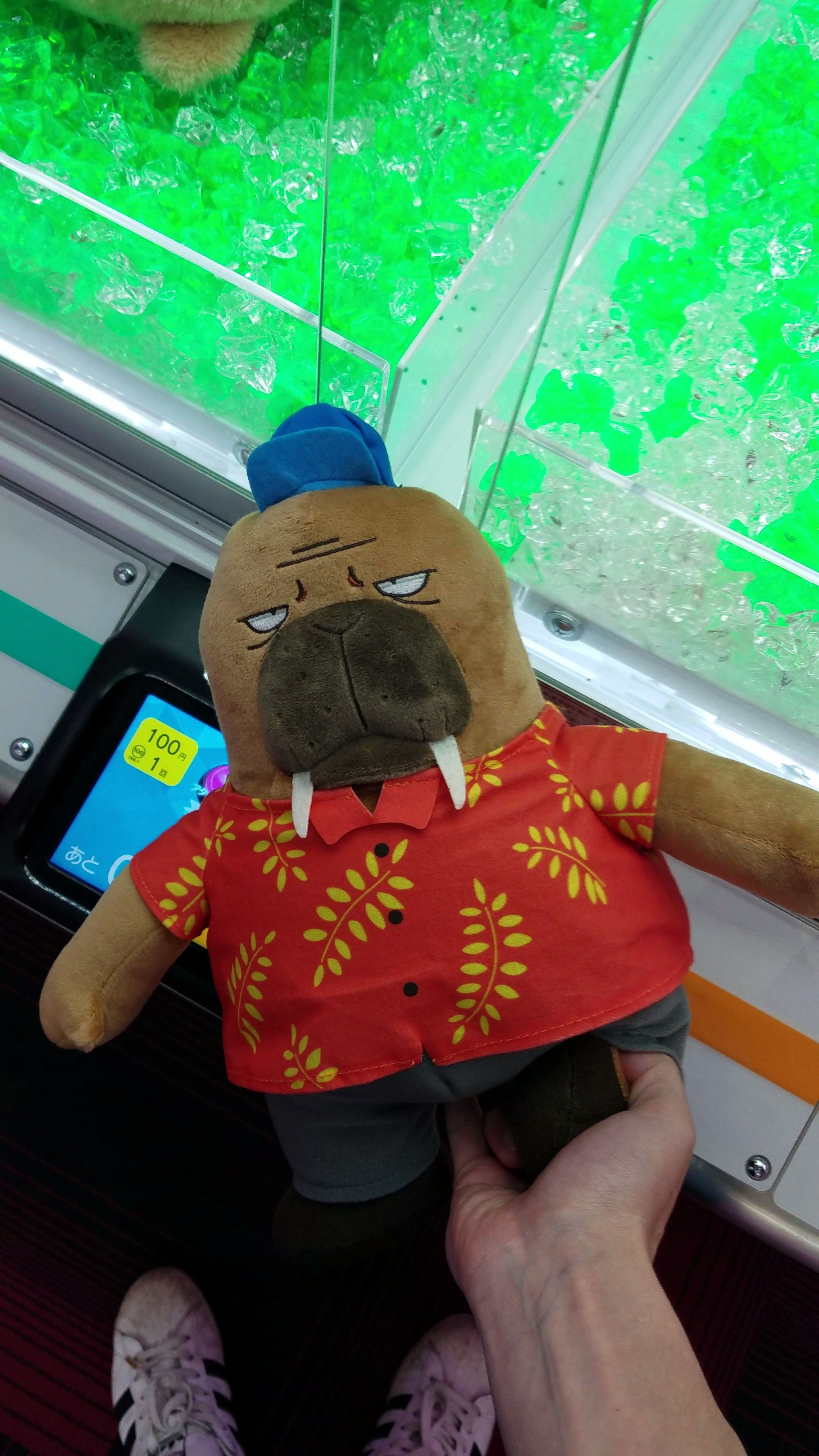 ODD TAXIの画像