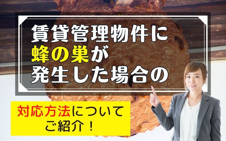 賃貸管理物件に蜂の巣が発生した場合の対応方法についてご紹介！の画像