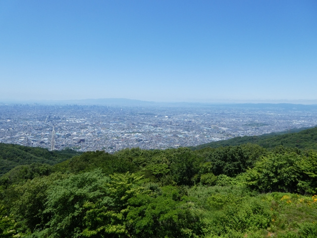 奈良県内の初心者向けコース