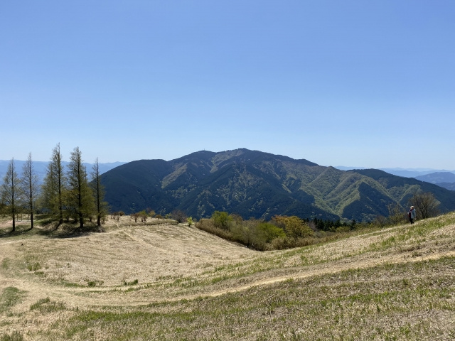 ある程度歩きなれている人向けの中級者コース