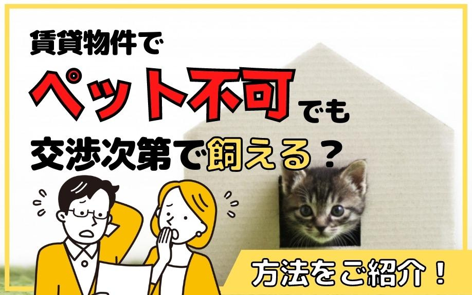 賃貸物件でペット不可でも交渉次第で飼える？方法をご紹介！