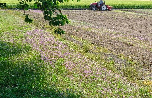 農地が売却しづらい？売却する方法や費用についてご紹介の画像
