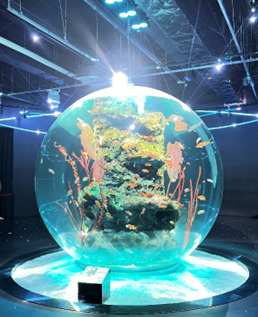 神戸の水族館に行ってきました！の画像