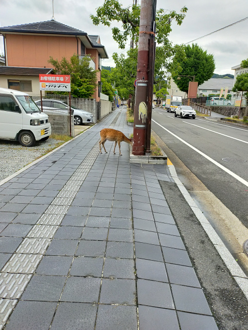 街中で！！の画像