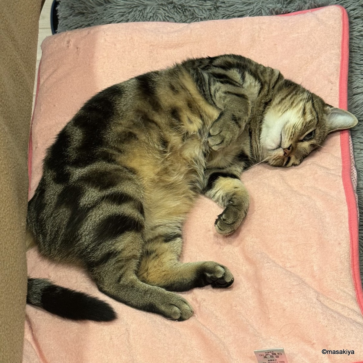 求人情報です。の画像