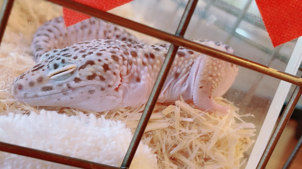 今行きたい場所です。の画像