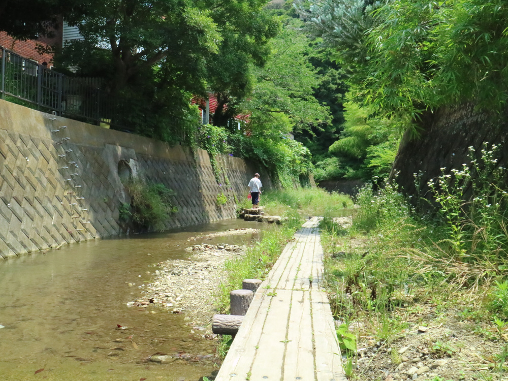 ～～前田川遊歩道～～IN　横須賀市秋谷の画像