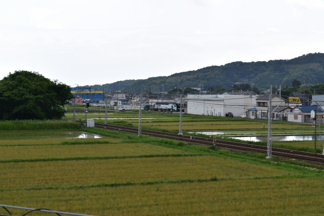 農地の売却は本当に難しい？農地を売却する際の方法や手順をご紹介の画像