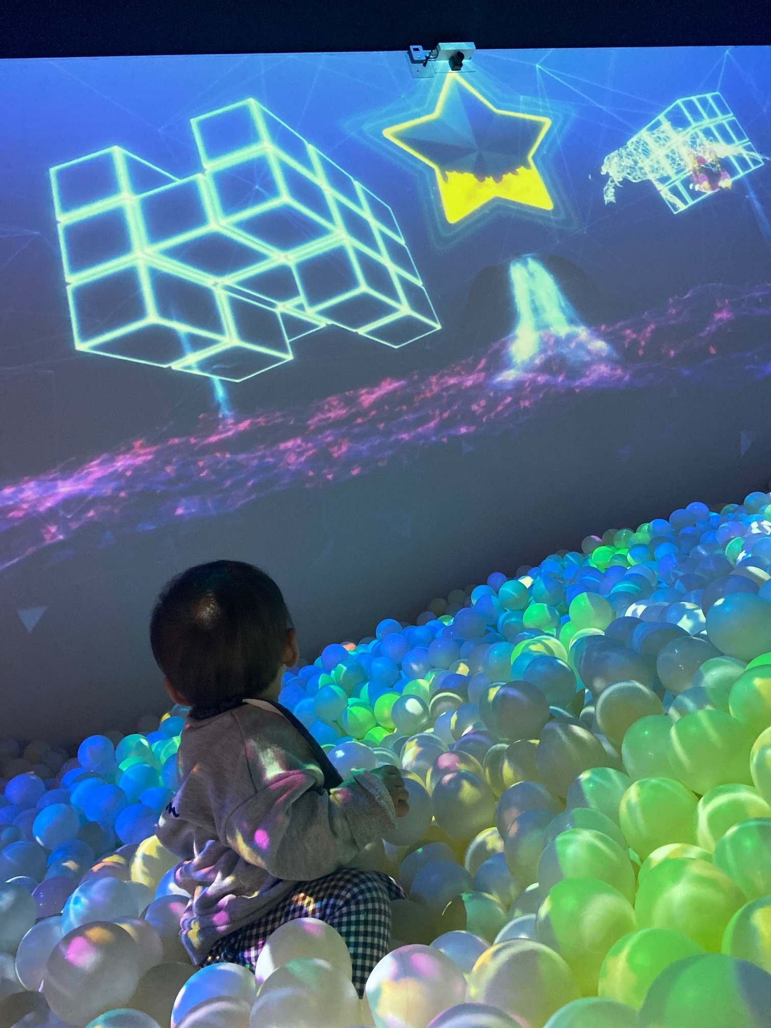 今日の散歩♪の画像