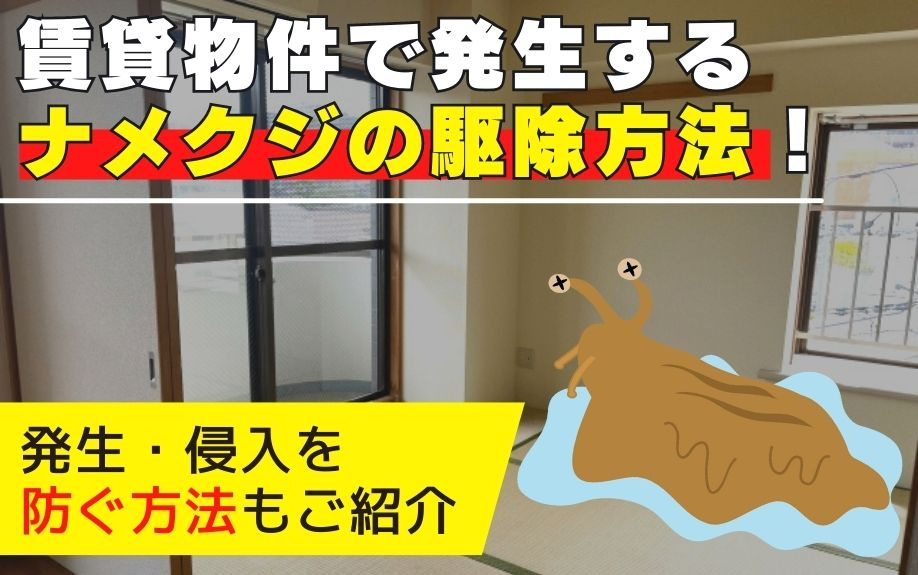 賃貸物件で発生するナメクジの駆除方法！発生・侵入を防ぐ方法もご紹介