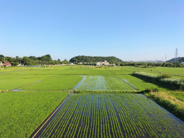 朝ラン中！（2022.6.25）の画像