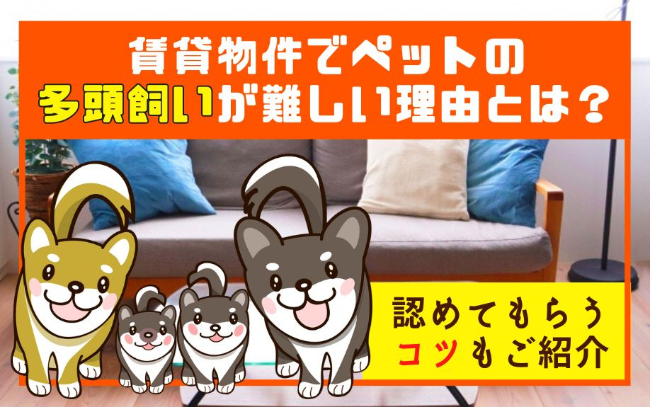 賃貸物件でペットの多頭飼いが難しい理由とは？認めてもらうコツもご紹介の画像