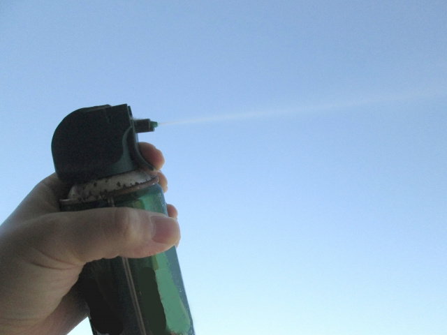 アパートの蟻を駆除する方法について解説！発生する理由もご紹介の画像