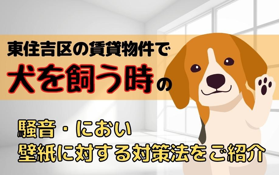 東住吉区の賃貸物件で犬を飼う時の騒音・におい・壁紙に対する対策法をご紹介