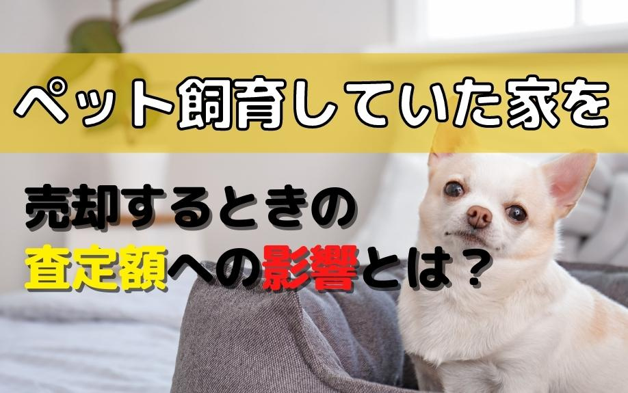 ペット飼育していた家を売却するときの査定額への影響とは？の画像