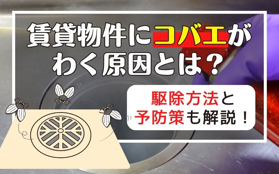 賃貸物件にコバエがわく原因とは？駆除方法と予防策も解説！の画像