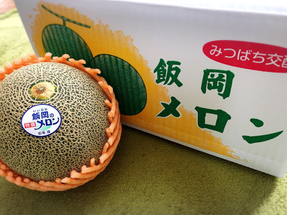 おすすめのフルーツ、飯岡メロンの画像