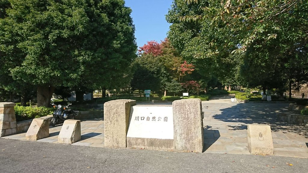 7月5日：虫取りの画像