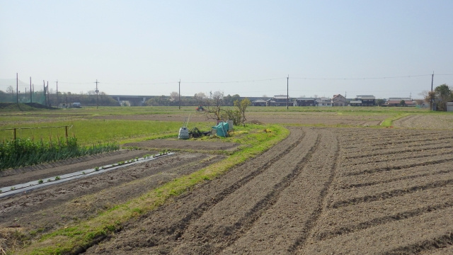 売却しづらい農地の売却方法と費用をご紹介の画像