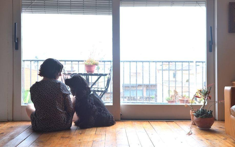 犬を賃貸物件で飼うときにしておきたい壁紙対策としつけ