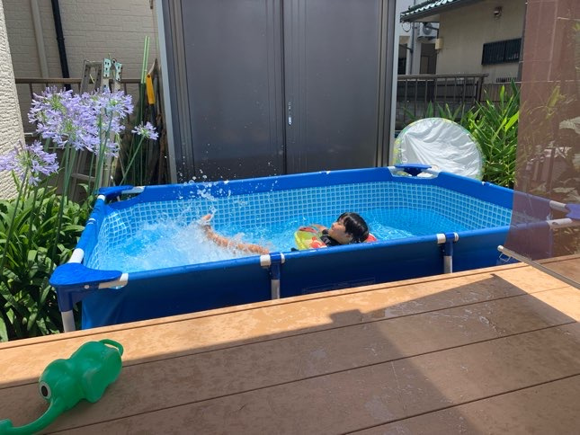 夏の風物詩の画像