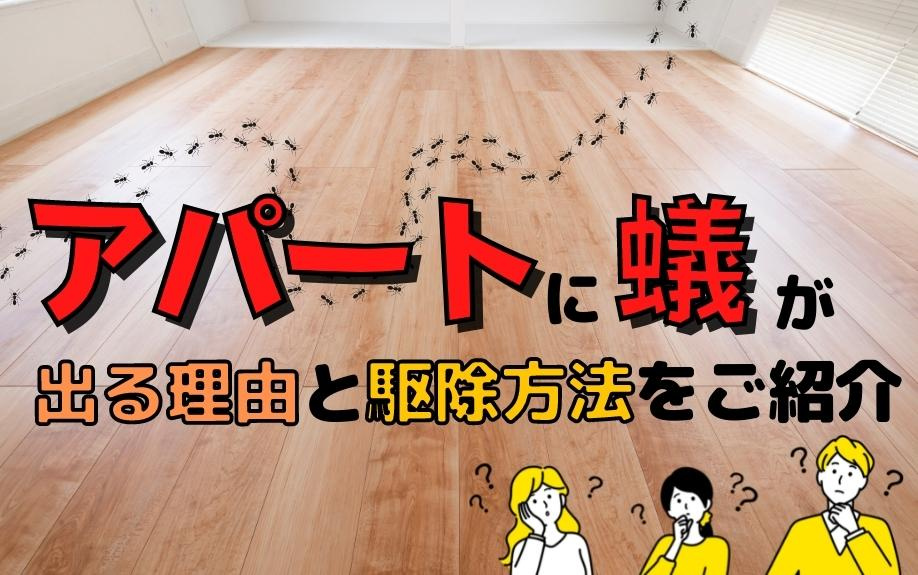アパートに蟻が出る理由と駆除方法をご紹介