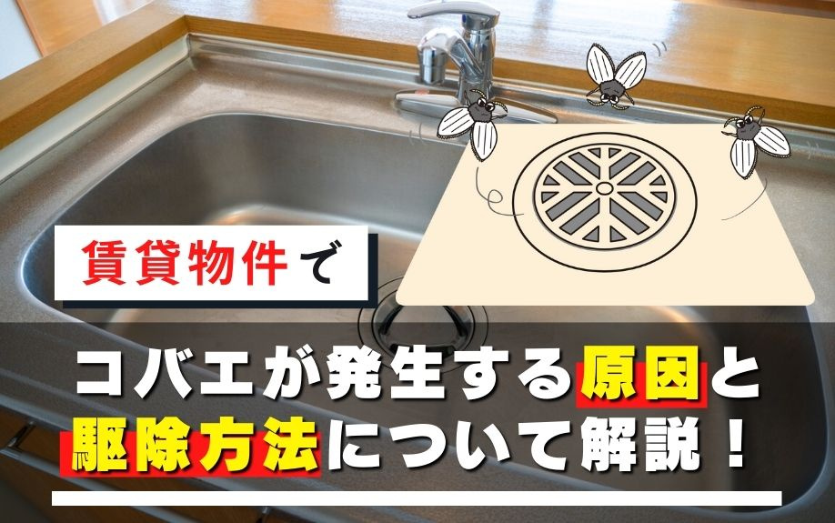 賃貸物件でコバエが発生する原因と駆除方法について解説！の画像