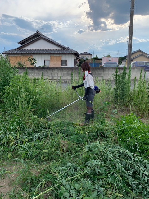 日本の夏の画像