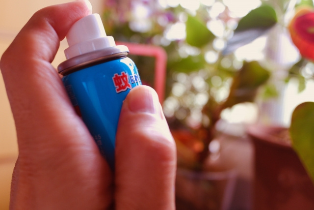 賃貸物件でコバエを駆除する方法と予防法とは？の画像