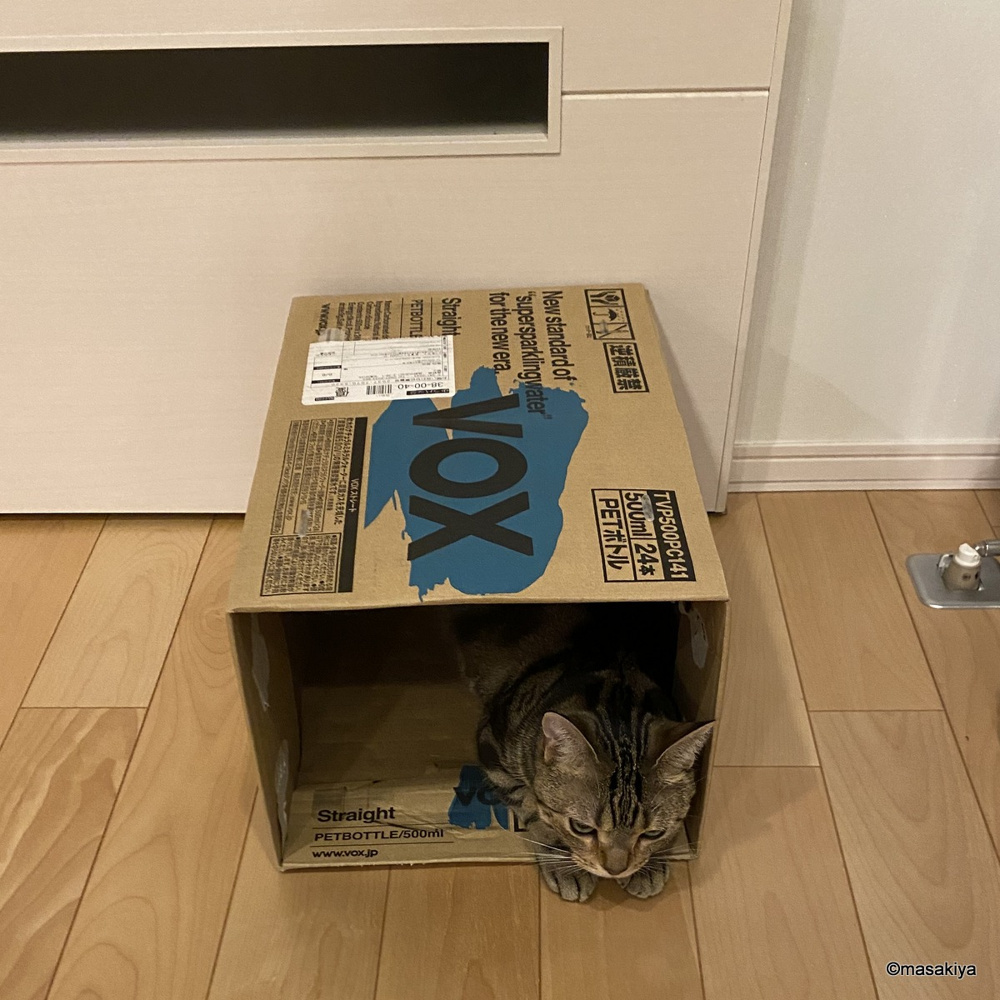 アマゾンプライムデーの画像