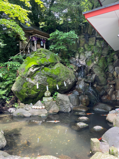 来宮神社の画像