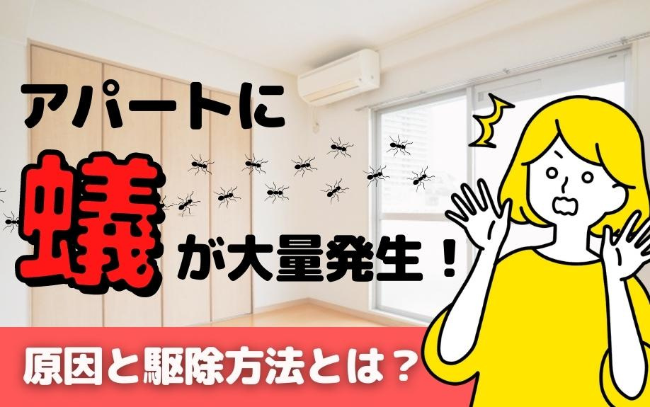 アパートに蟻が大量発生！原因と駆除方法とは？