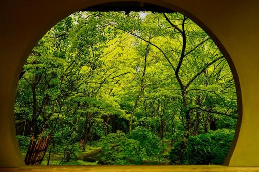 7月21日【日本三景の日】の画像